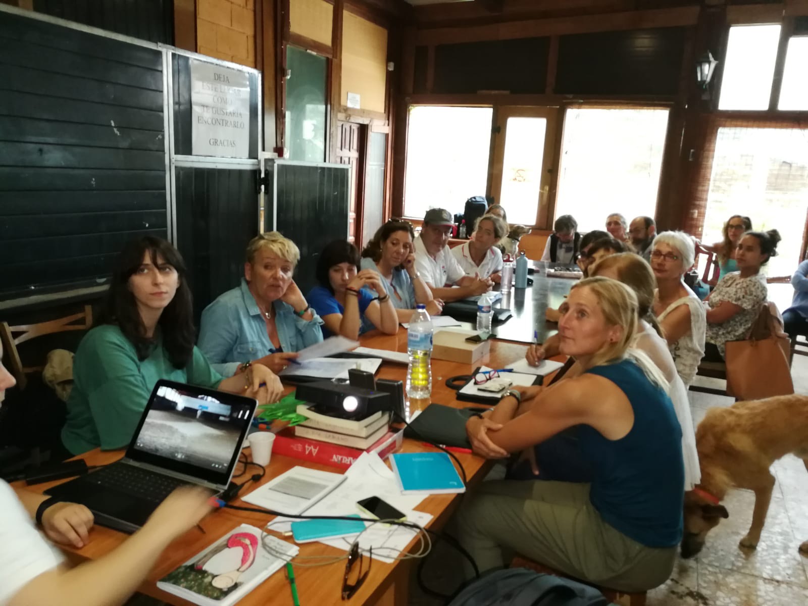 Finalizan las jornadas del Proyecto de Desarrollo Nacional de Estructuras Deportivas de la disciplina de Doma Clásica Adaptada